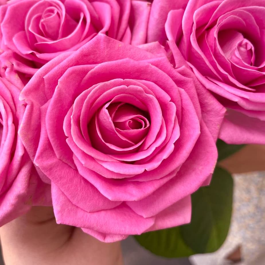 11 розовых роз — фото 2 — купить в Тбилиси — фото 2