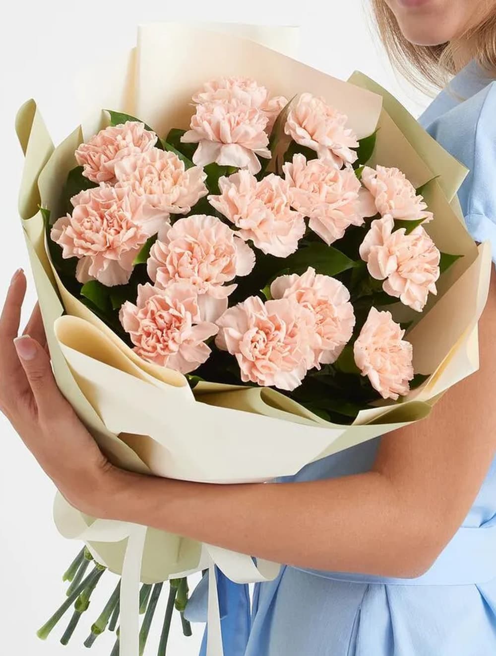 15 кремовых диантусов