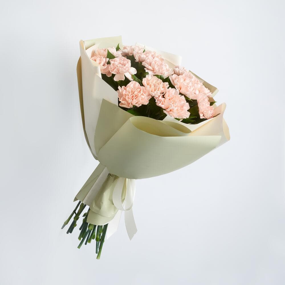 15 кремовых диантусов — фото 3 — купить в Тбилиси — фото 3