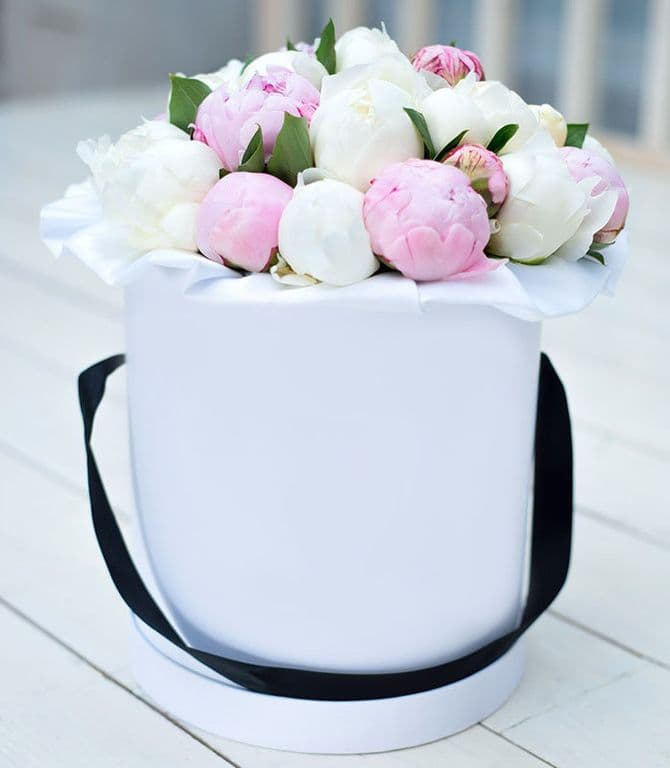 19 пионов в шляпной коробке