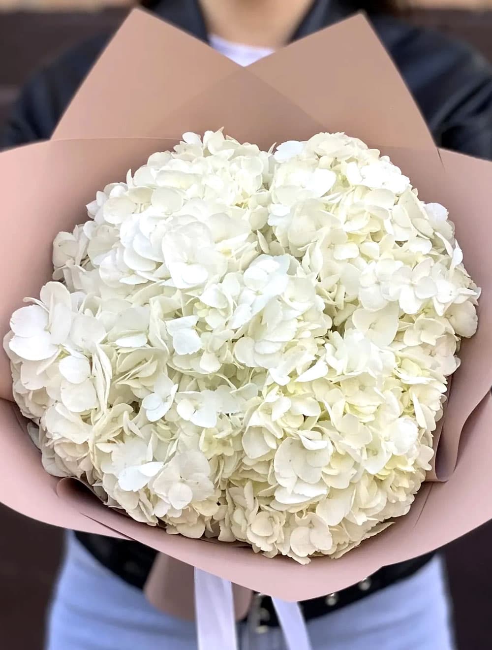 5 белых гортензий