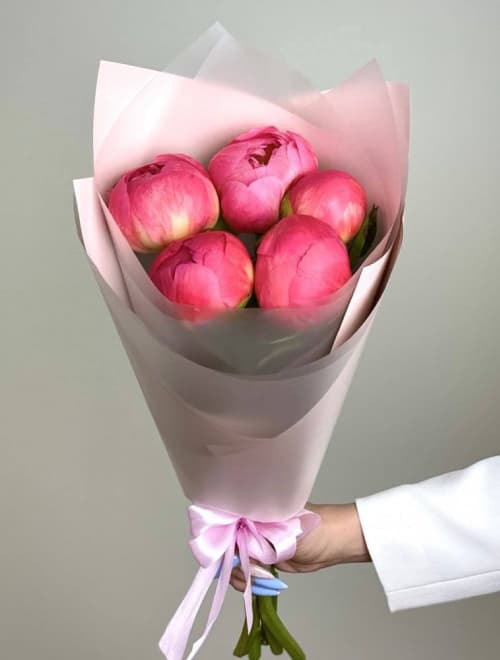 5 коралловых пионов