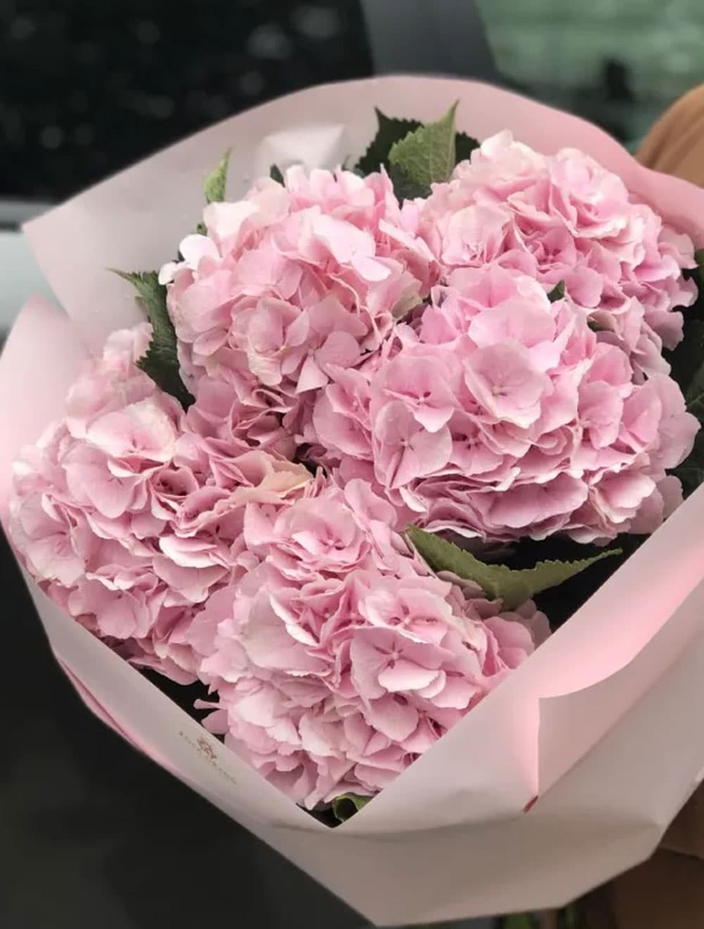 5 розовых гортензий (цвет на выбор)