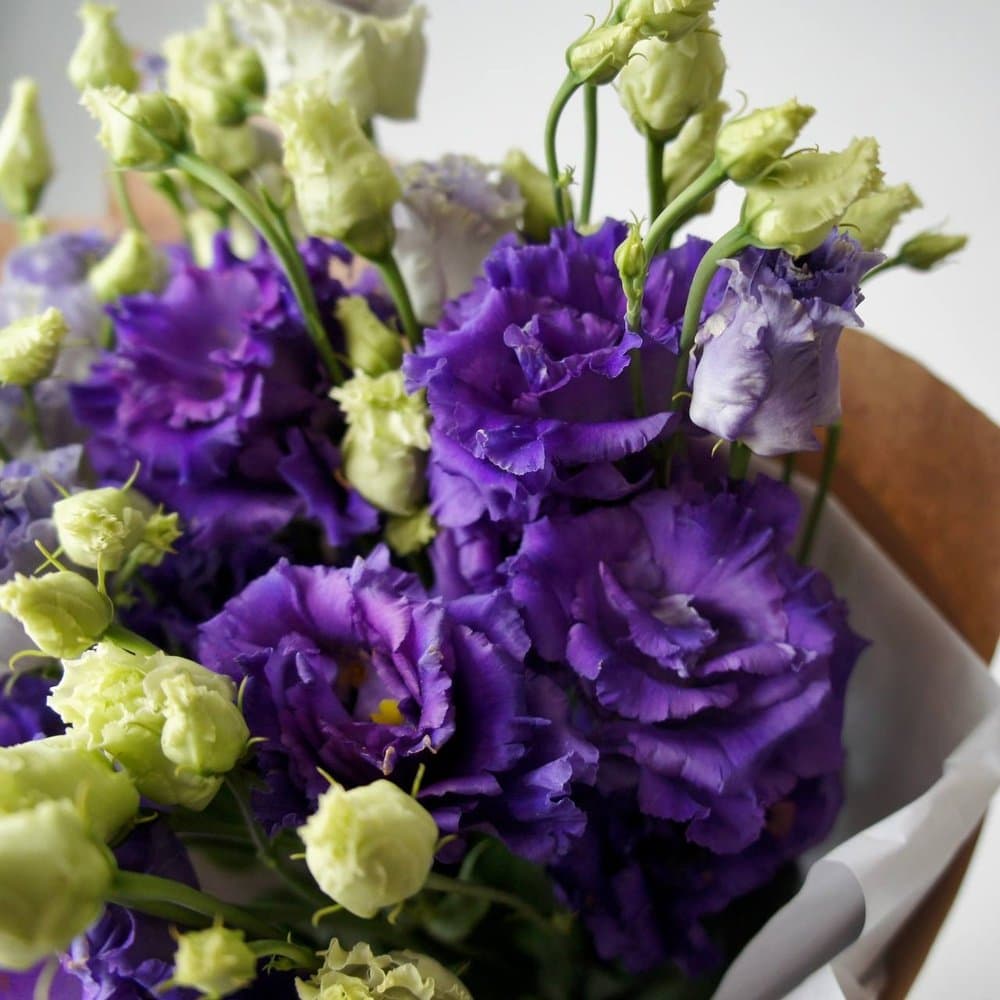 5 веток эустомы (цвет на выбор) — фото 3 — купить в Тбилиси — фото 3