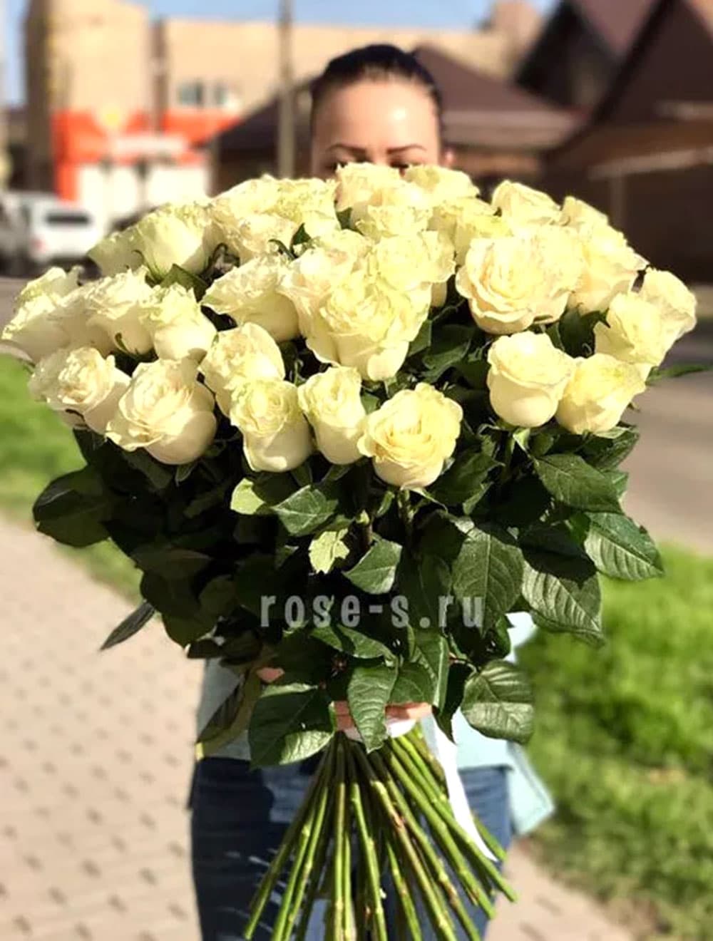 51 эквадорская роза (цвет на выбор)