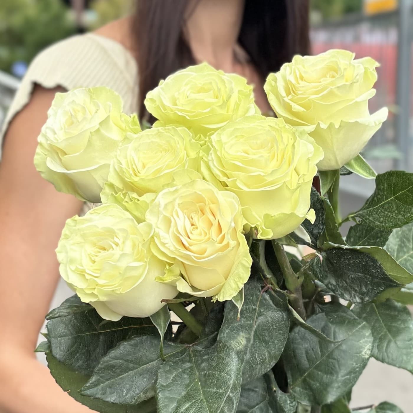 7 белых эквадорских роз 80 см