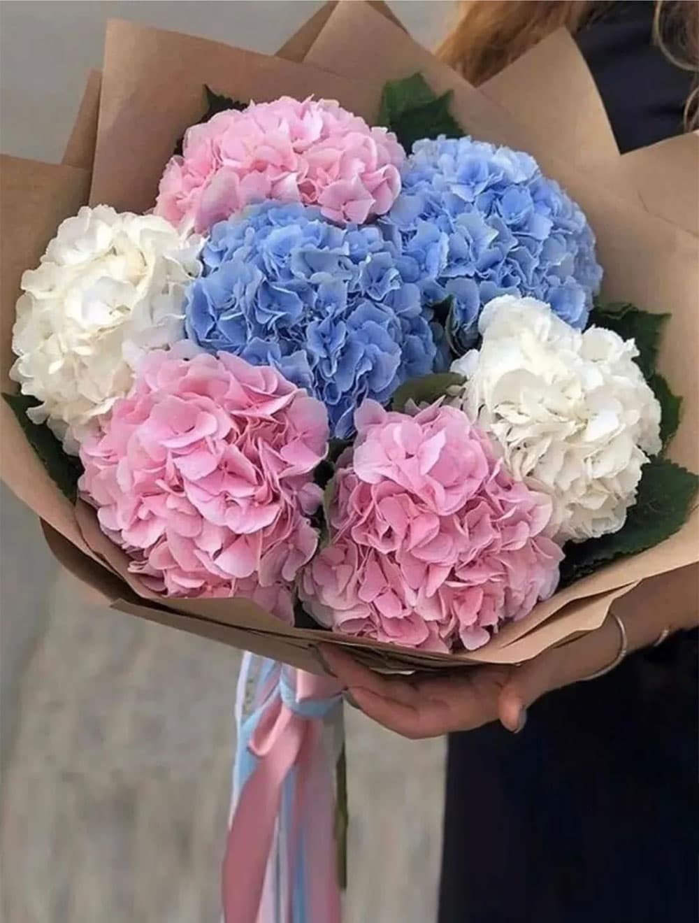 7 гортензий (цвет на выбор)