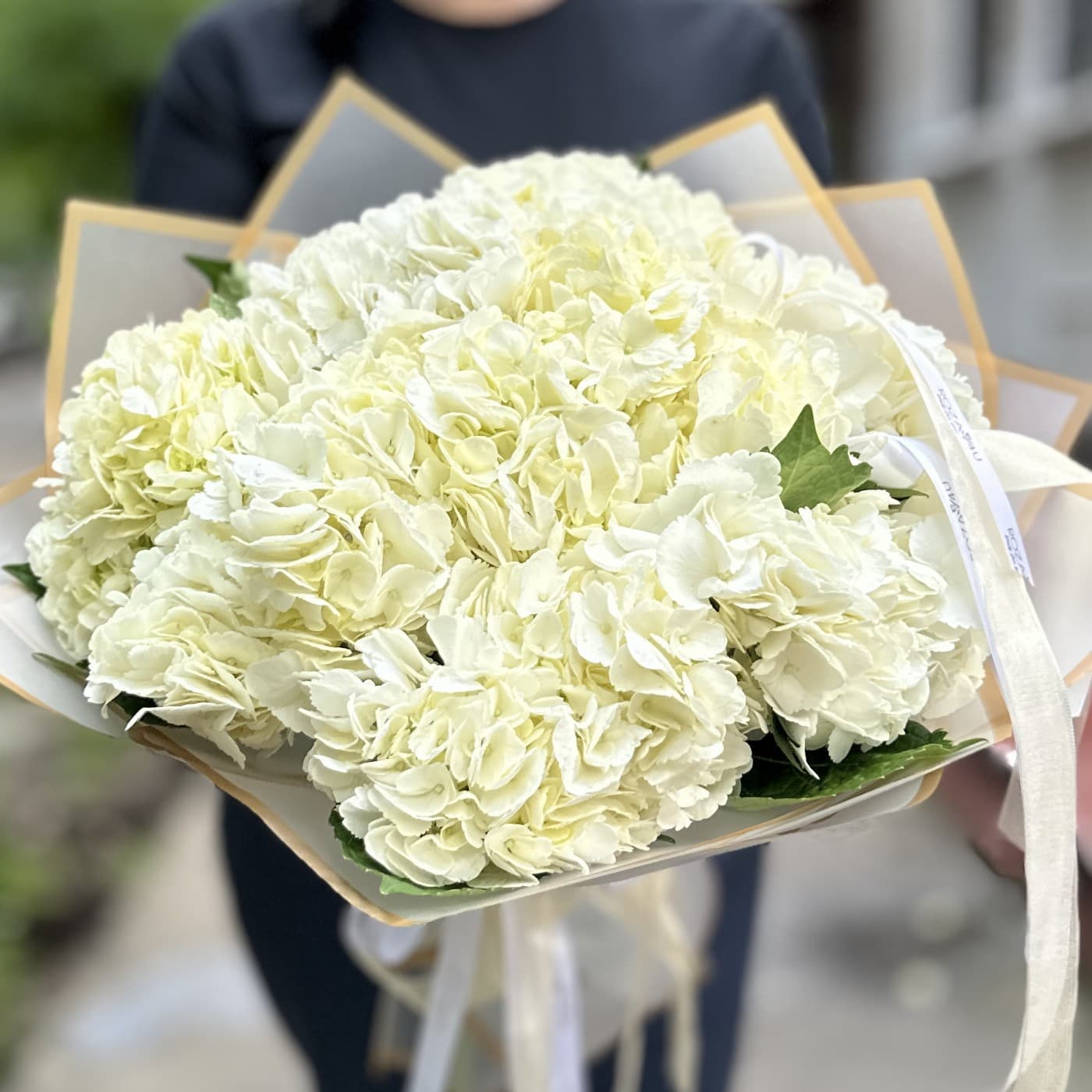 9 белых гортензий — фото 3 — купить в Тбилиси — фото 3