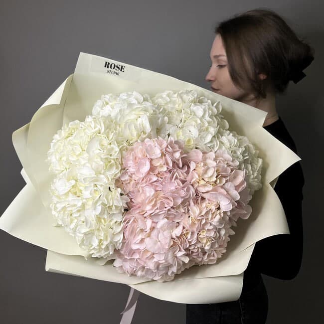 9 гортензий (цвет на выбор) — фото 2 — купить в Тбилиси — фото 2