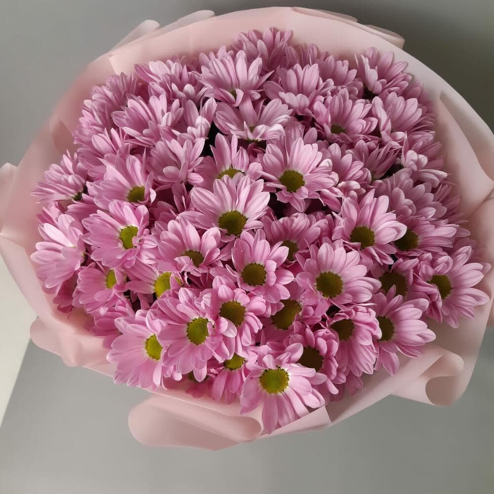 Букет 9 кустовых хризантем (цвет на выбор) — фото 2 — купить в Тбилиси — фото 2