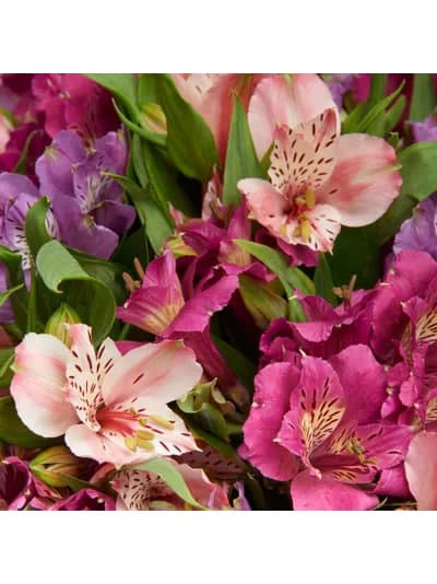 Букет из 15 лиловых альстромерий — фото 3 — купить в Тбилиси — фото 3