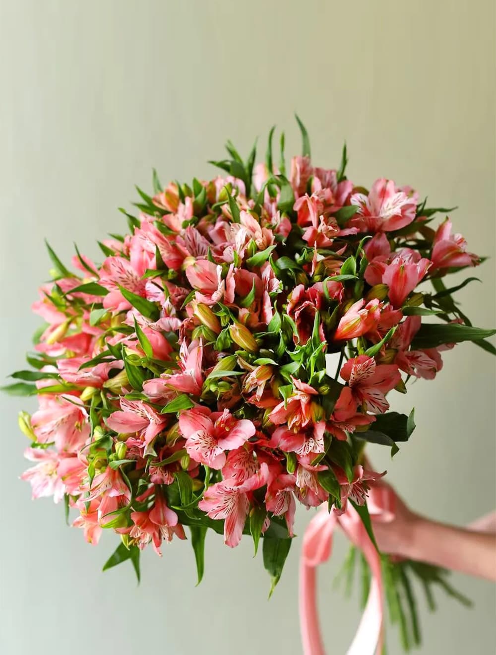 Букет из 25 розовых альстромерий