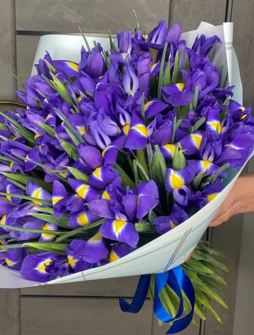 Букет из 51 ириса