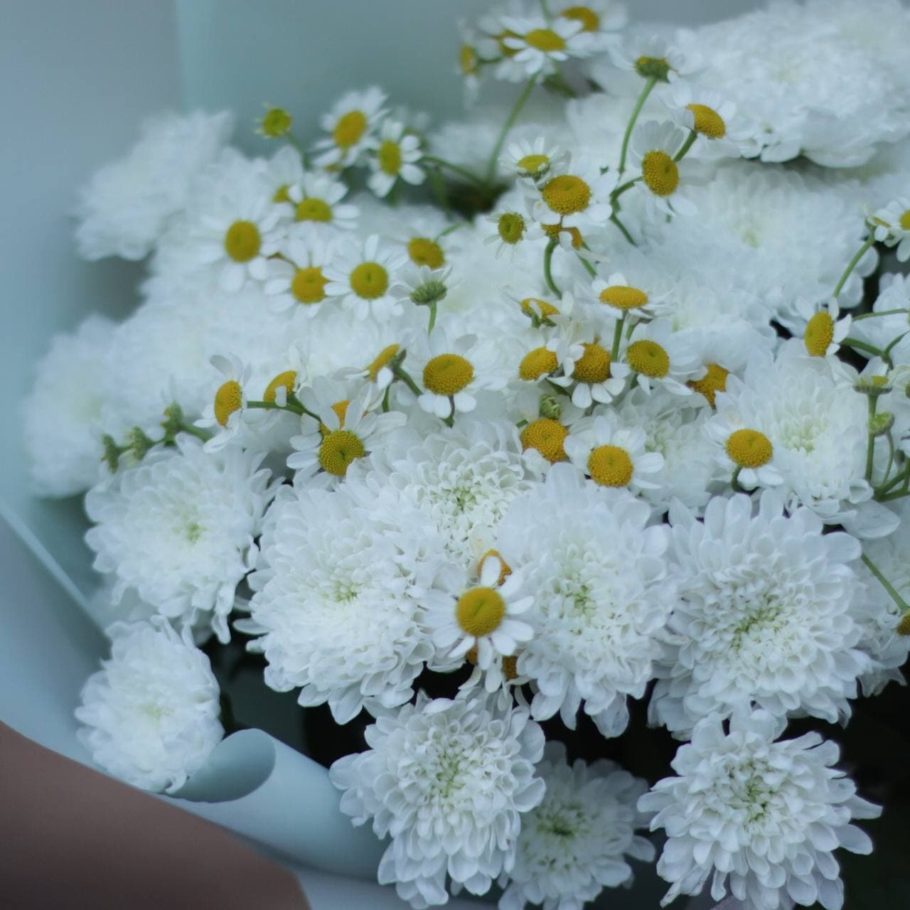 Букет из кустовой хризантемы и ромашек — фото 3 — купить в Тбилиси — фото 3
