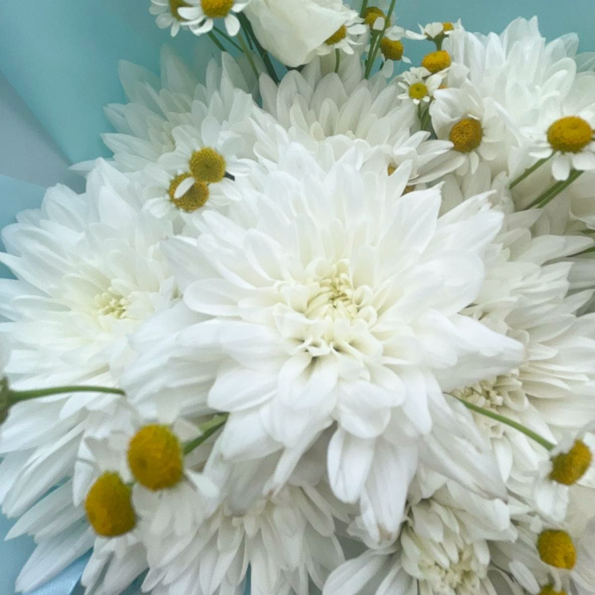 Букет из кустовой хризантемы и ромашек — фото 4 — купить в Тбилиси — фото 4