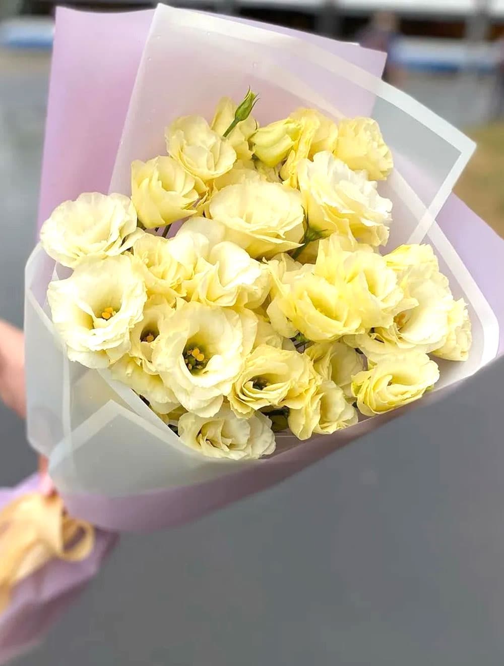 Букет махровых эустом (цвет на выбор) — фото 2 — купить в Тбилиси — фото 2