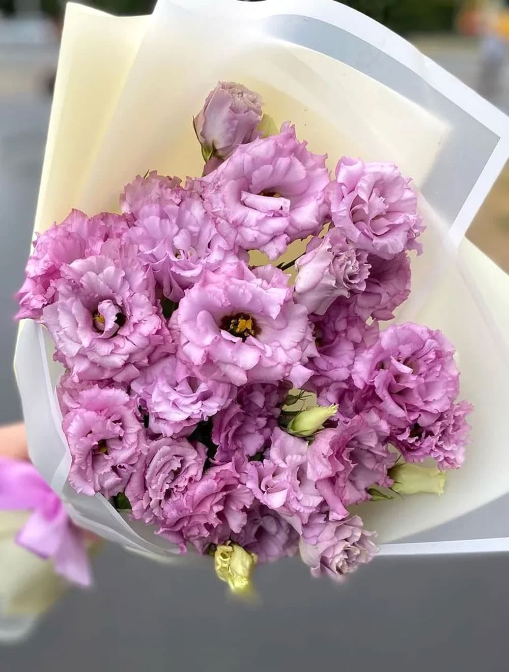 Букет махровых эустом (цвет на выбор) — фото 4 — купить в Тбилиси — фото 4