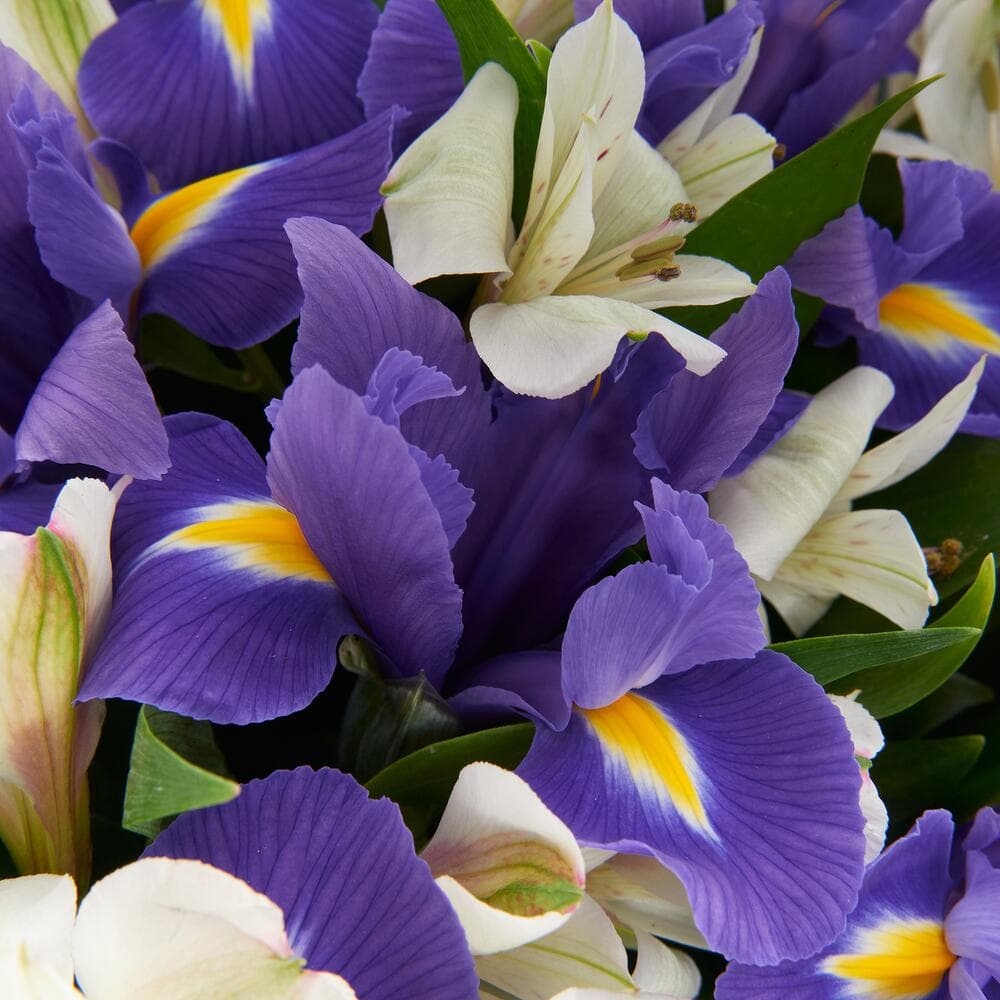 Букет "Snow sky" — фото 5 — купить в Тбилиси — фото 5