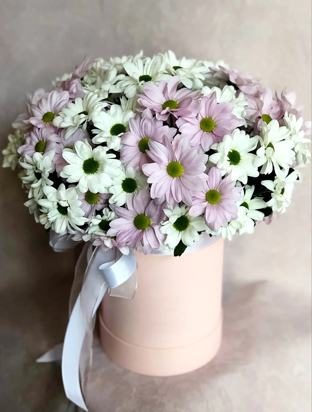 Хризантема в шляпной коробке