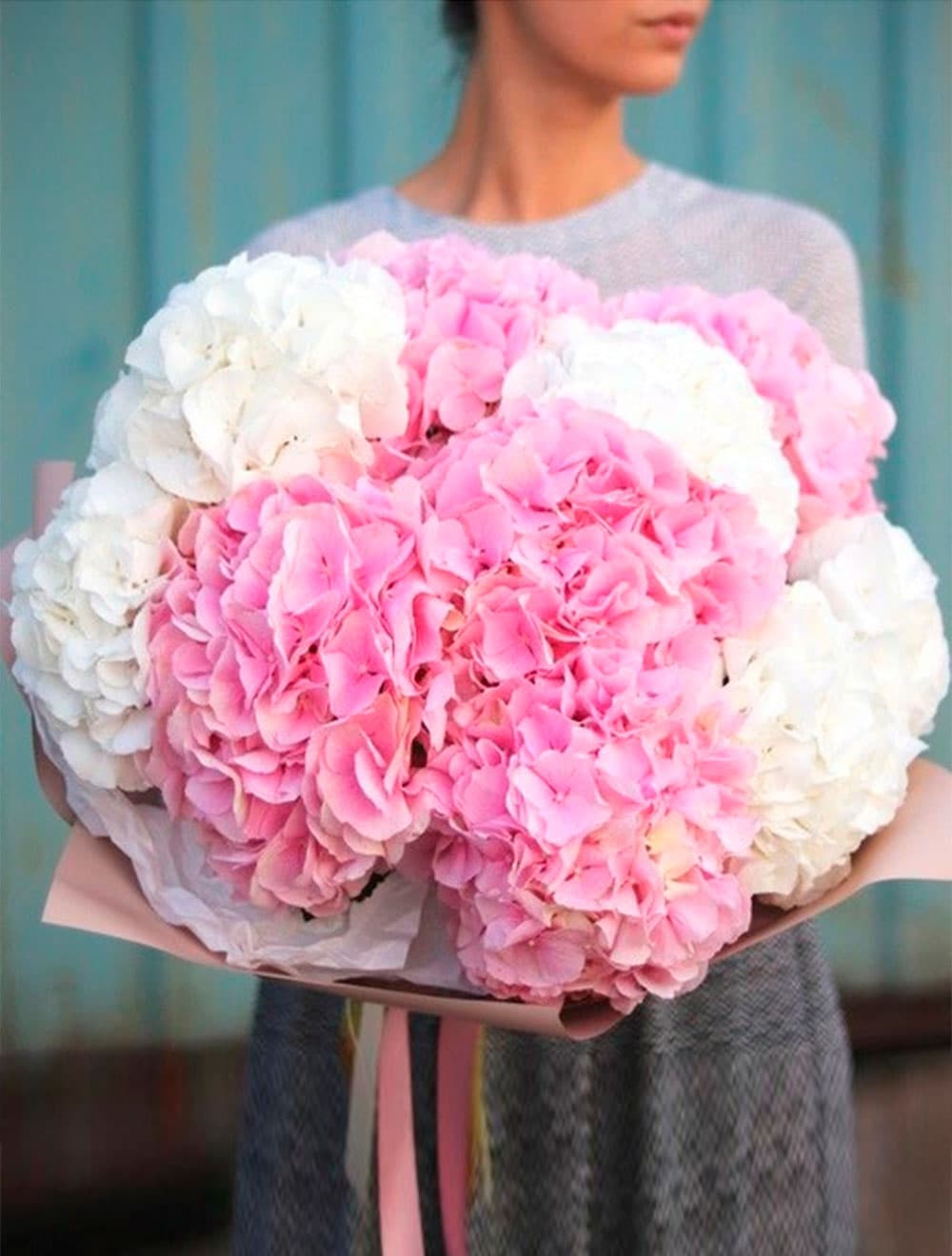 Микс из 11 гортензий