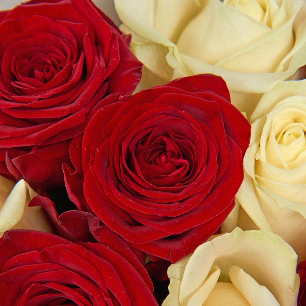 Микс из 25 роз — фото 4 — купить в Тбилиси — фото 4